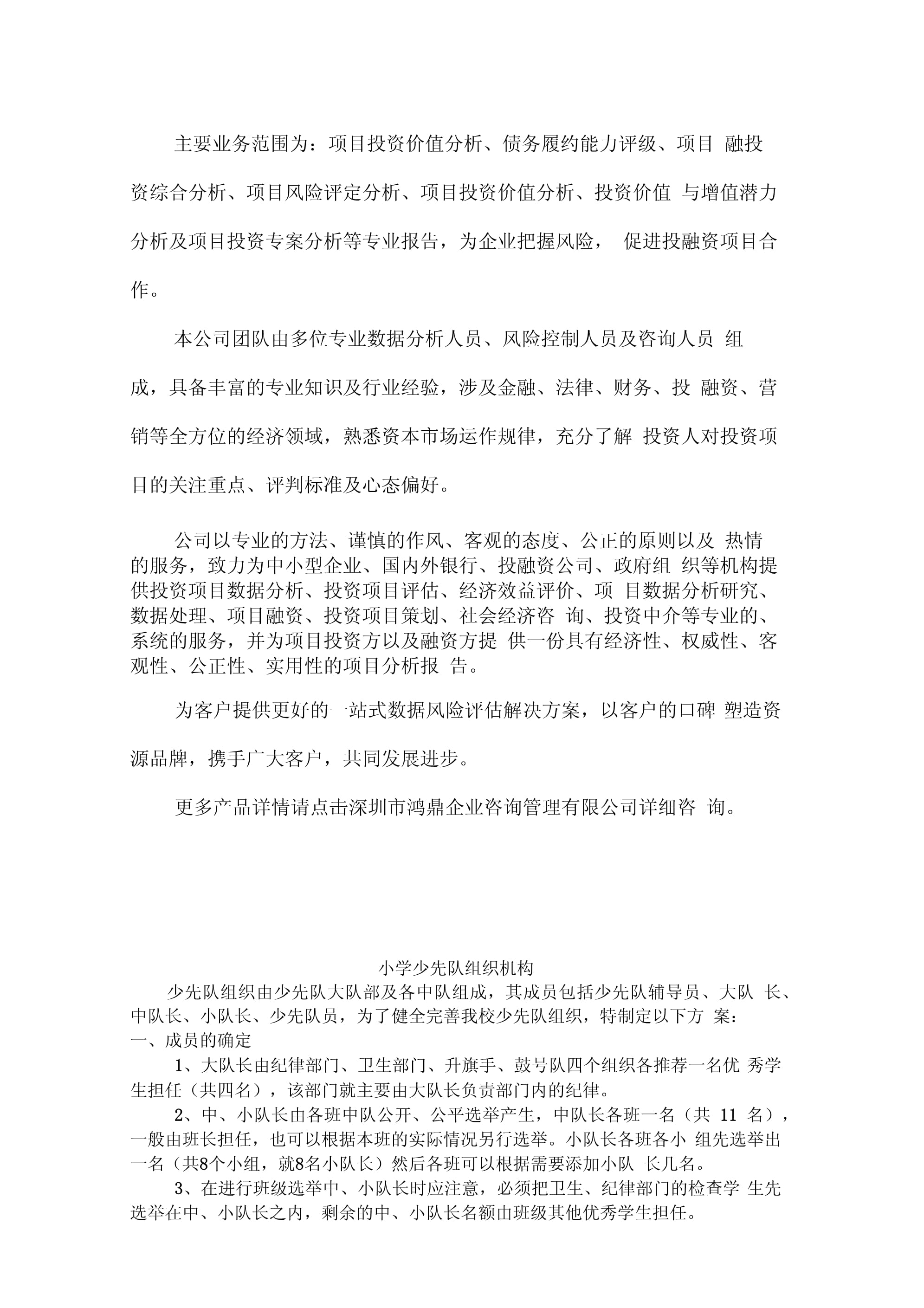 项目运营及偿债能力分析报告