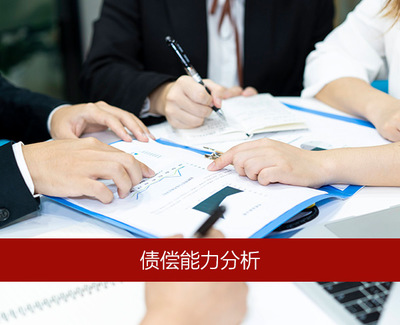 安徽拓政项目数据分析师事务所