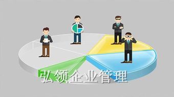 项目风险规避及资金代拨方案报告 安徽弘领 团队实力强
