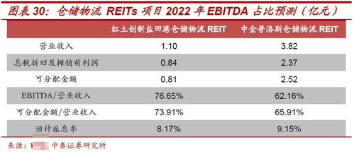 公募REITs投资价值分析 项目投资价值探究