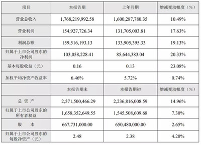 未来转债申购价值分析 投资机遇与风险评估