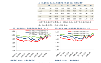开源证券-齐翔转2申购价值分析 碳四产业链龙头企业，项目投资价值解析