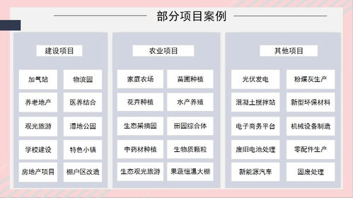 专业高效 息县项目资金投资价值分析报告服务