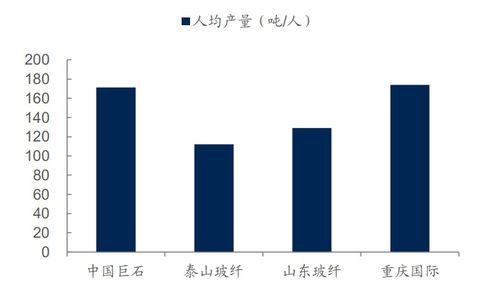 玻纤项目投资价值分析报告 价格高企、库存低位背景下的可行性研究