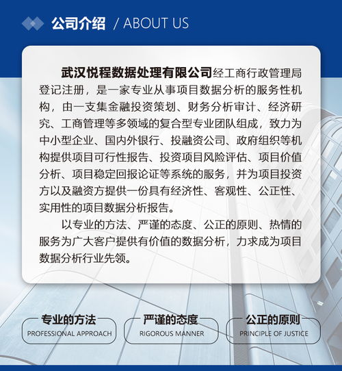项目价值分析控制与未来收益综合论证 基于科学方法的投资价值研判